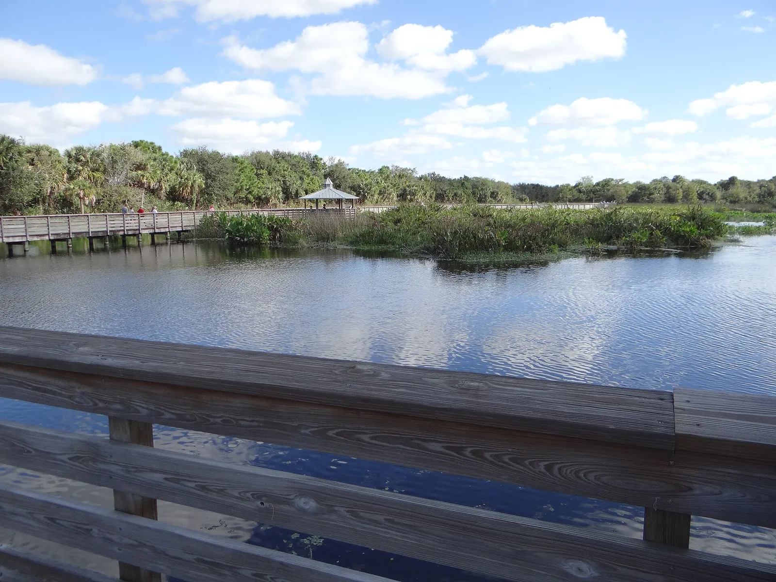 The boardwalk over the marsh at Green Cay Wetlands and Nature Center in Boynton Beach