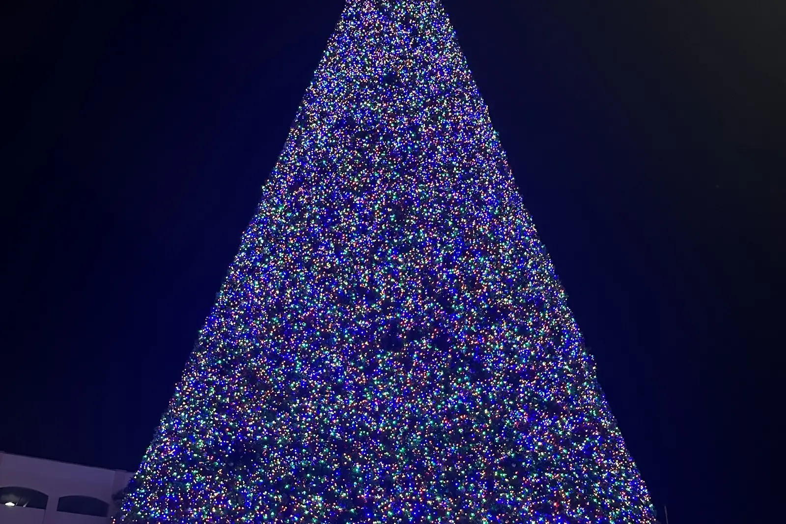 Delray Beach's 100-foot Christmas tree lit up at night on Atlantic Avenue.