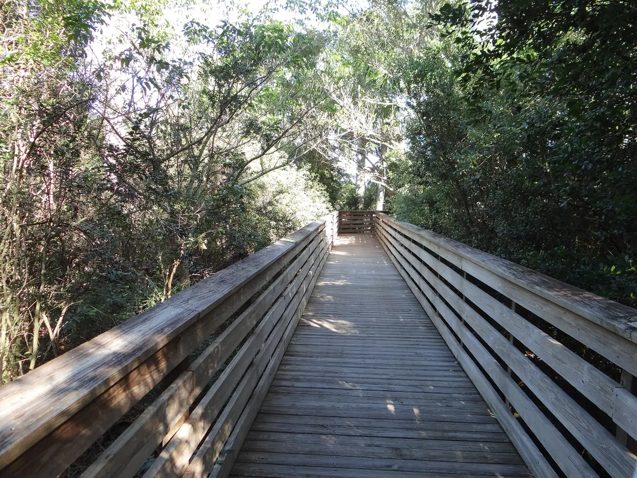 A shaded stretch of boardwalk at Green Cay Nature Center and Wetlands on Hagen Ranch Road.